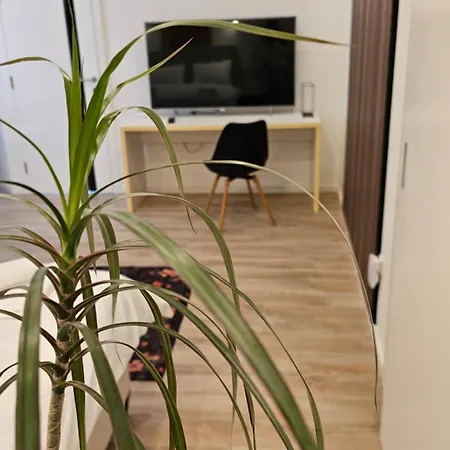 Sleep & Explore Apartamento